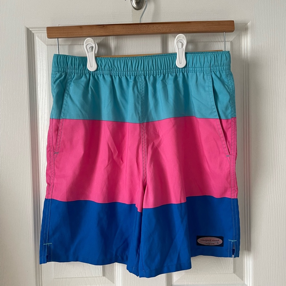 Boys Vineyard Vines Tri-Color bathing suit